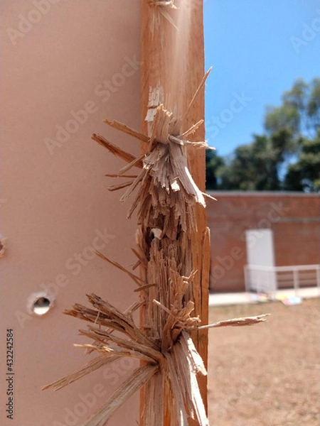 Obraz shooting target with hole marks
