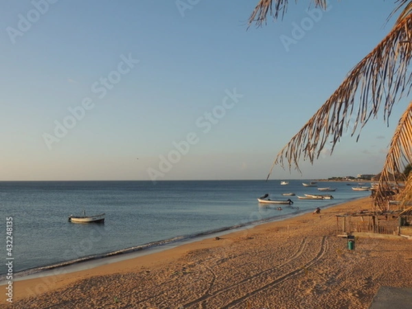 Obraz Playa y Palmeras