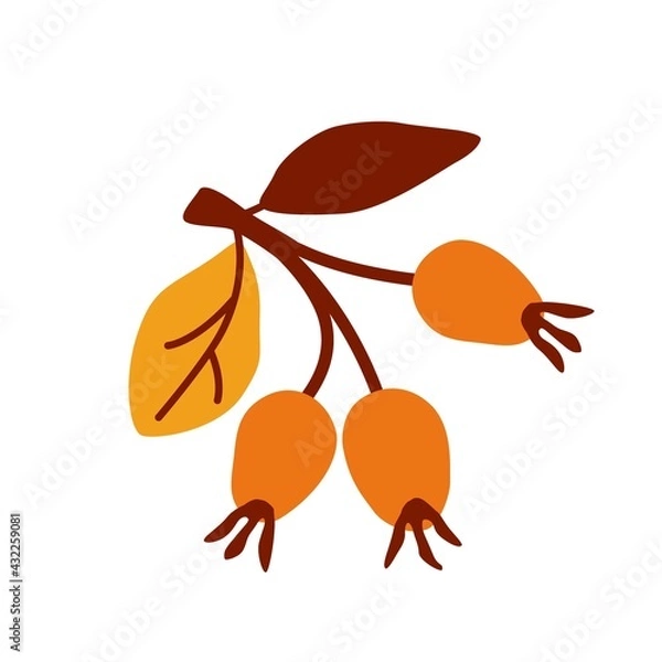 Fototapeta Autumn berries. Vector flat illustration on an isolated white background. A simple flat drawing of  berries with yellow brown leaves. Sticker, an element of autumn decor.