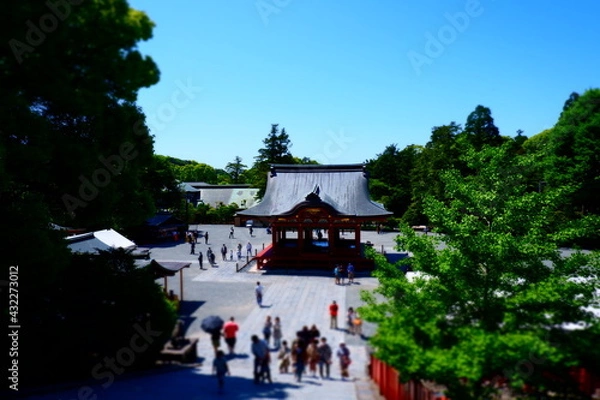 Fototapeta 古都鎌倉のシンボル、鶴岡八幡宮
