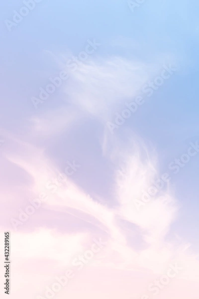 Fototapeta 青空と雲