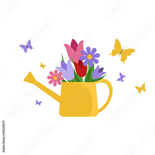 Fototapeta Watering can with flowers isolated on white. Butterflies flying near watering can with tulips and chamomile 