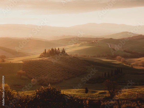 Fototapeta OLYMPUS DIGITAL CAMERA