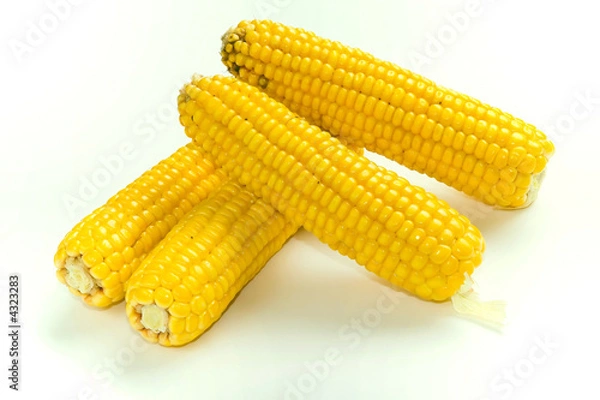 Fototapeta Yellow indian corns isolated on white background