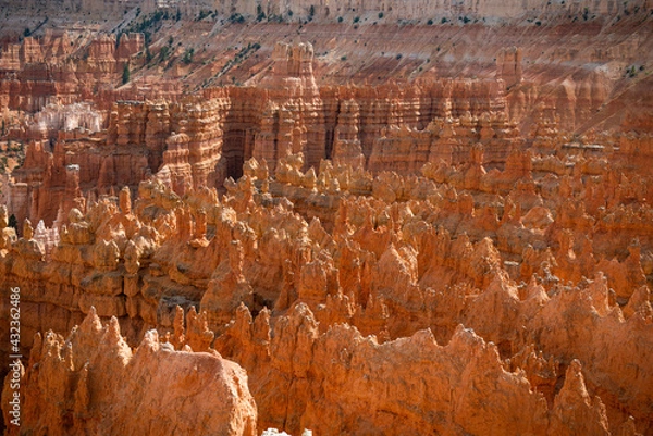 Obraz Bryce Canyon Hoodoo
