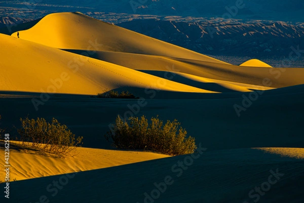 Fototapeta Sand Dune Hike