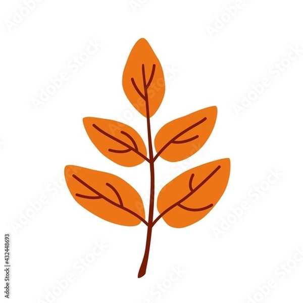 Fototapeta Orange autumn leaf. Vector simple flat drawing on an isolated background. An element of autumn decor.