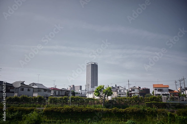 Obraz 東京の住宅街の向こうにそびえる高層マンション