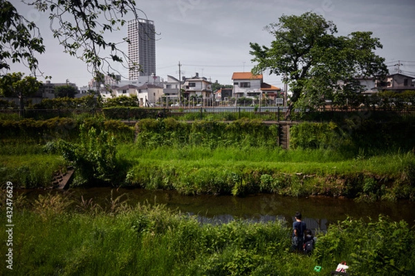 Fototapeta 春の小川で遊ぶ少年2人