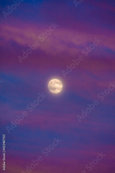Obraz Perigee Moon (Supermoon) surrounded by purple clouds at sunset with a dark blue sky, closest point of our satellite to planet Earth
