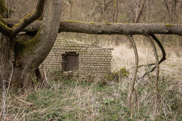 Obraz Verfallenes Gebäude im Wald