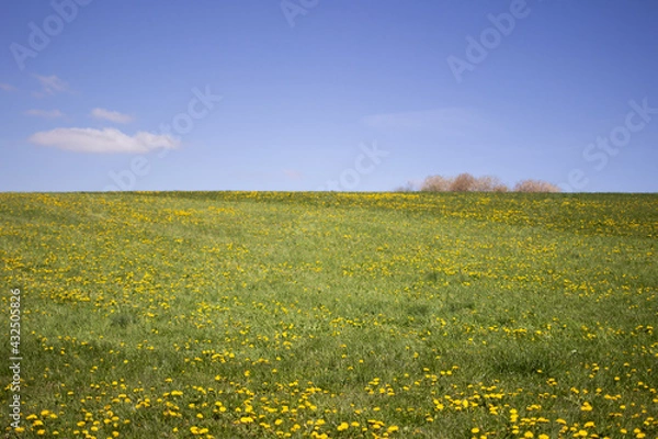 Obraz Frühlingswise mit Horizont