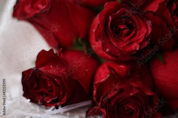 Fototapeta Bride Red flower bouquet in a white net close up