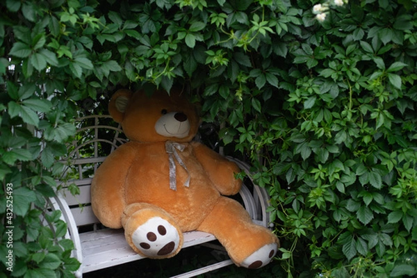 Obraz A teddy bear sits on a garden swing in the shade of jasmine bushes