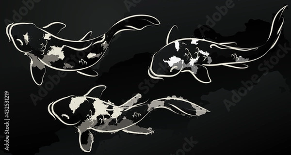 Fototapeta Set of Japanese koi. Vector illustration.
