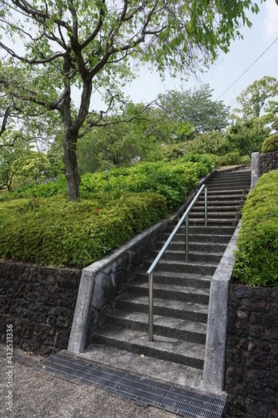 Obraz 初夏の日差しと新緑と階段