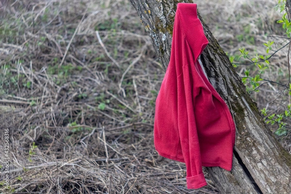 Fototapeta a forgotten red jacket on a tree branch
