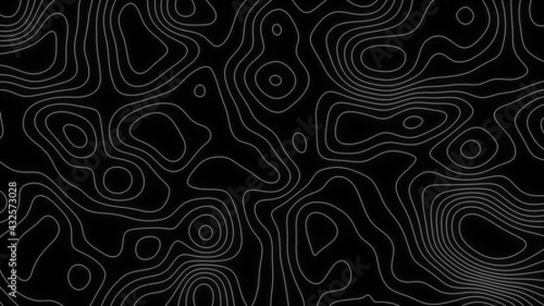 Fototapeta Abstract 3d render geometric areas land and water spaces with geographic natural design changes. Modern navigation wavy template with curly surface lines and contour perspectives.