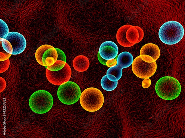 Obraz cells colors
