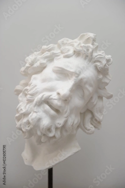 Obraz Busto minimalista Laocoonte 