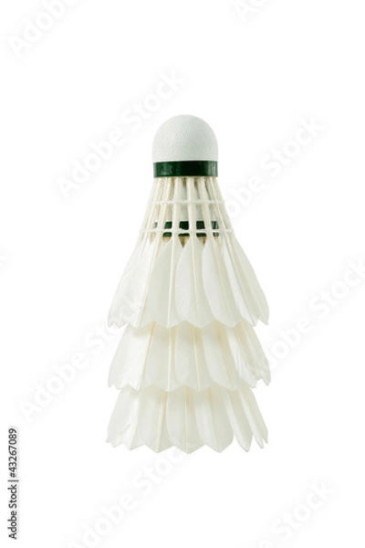 Fototapeta shuttlecock