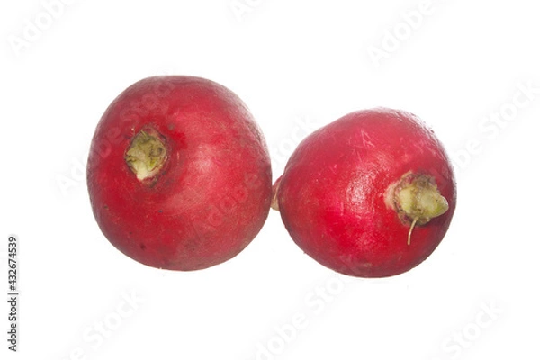 Obraz radish isolated on white background