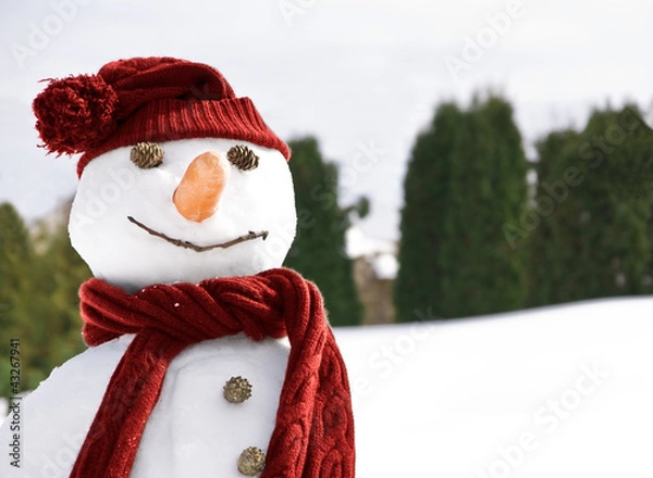 Obraz happy snowman