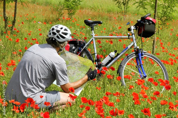 Fototapeta Radpause in Mohnwiese - Break in a poppy field