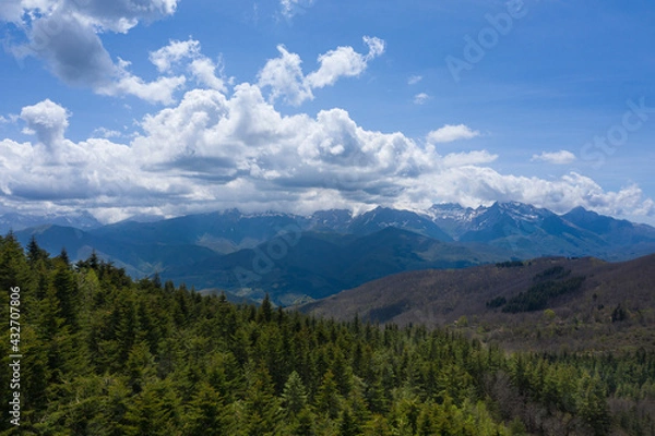Obraz aerial view of a fir forest in the orecchiella park in garfagnana tuscany with the apuan alps in the background