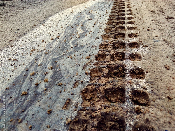 Obraz Track from off-road motorcycle tires on a field road