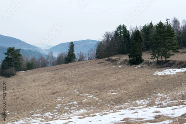Fototapeta Meadow with dead grass in winter without snow