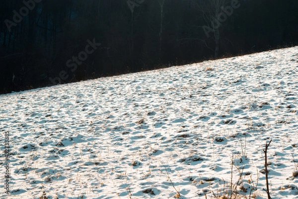 Fototapeta Snow on a meadow in winter during sunrise