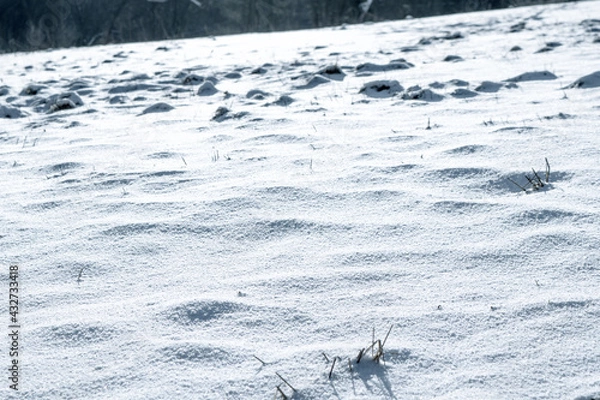 Fototapeta Snow on a meadow in winter during sunrise