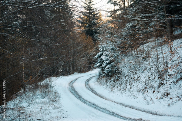 Fototapeta Road in a snowy forest in winter
