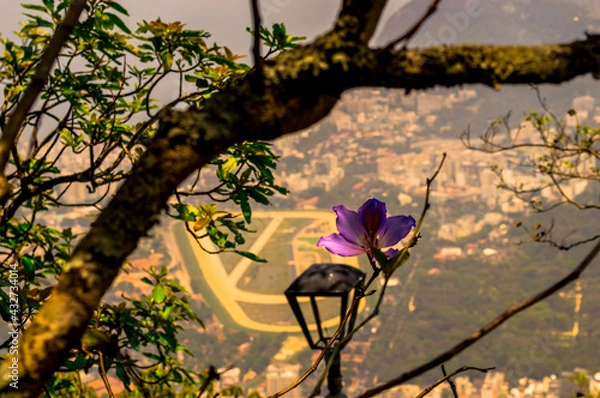 Fototapeta Cristo Redentor