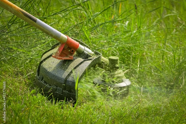 Obraz Worker mowing grass with grass trimmer
