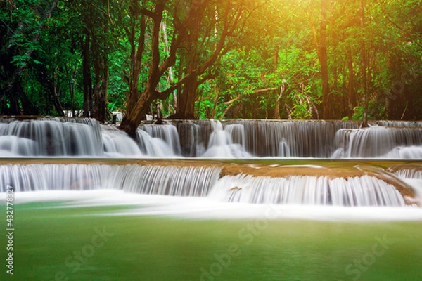 Fototapeta waterfall in the forest