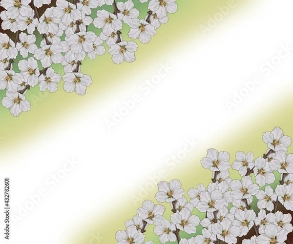 Fototapeta Card with an empty space for the inscription, cherry sprigs on a light background