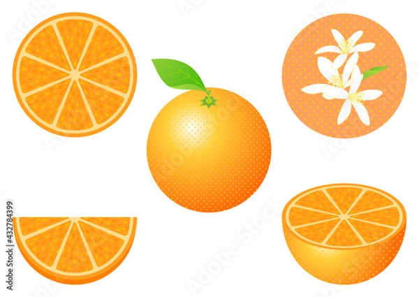 Fototapeta オレンジのフルーツカットと花のセット