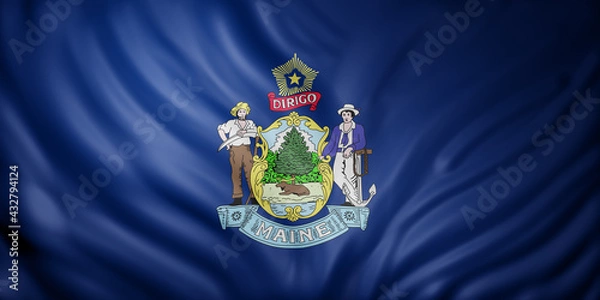 Obraz Maine State flag
