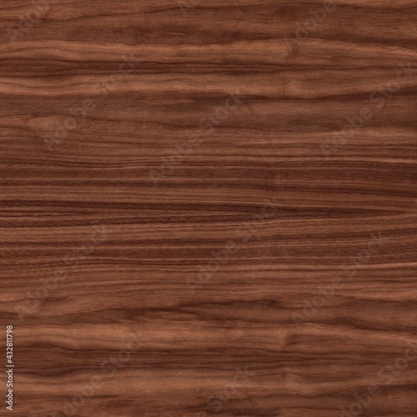 Obraz American Black Walnut Oiled Texture