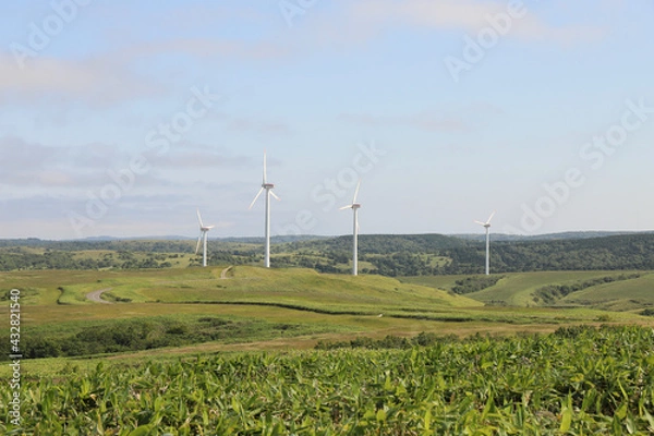 Obraz 宗谷丘陵と風力発電