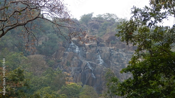 Fototapeta trees in the fog