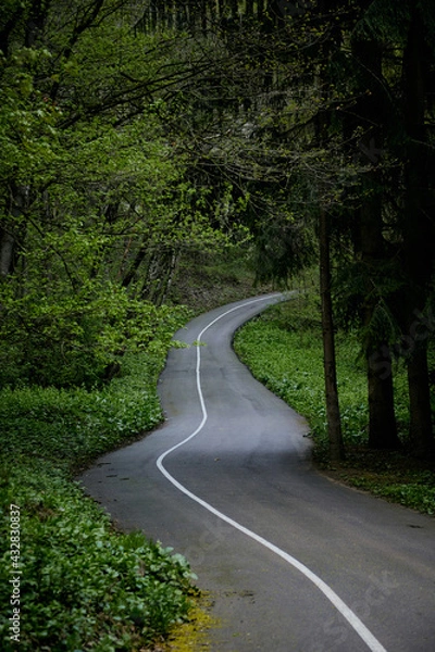 Fototapeta Пейзаж