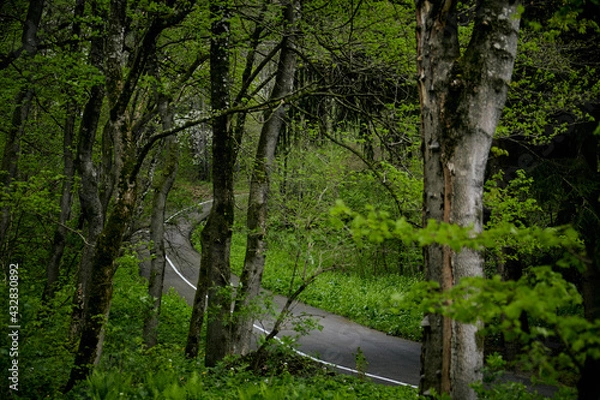 Fototapeta Пейзаж