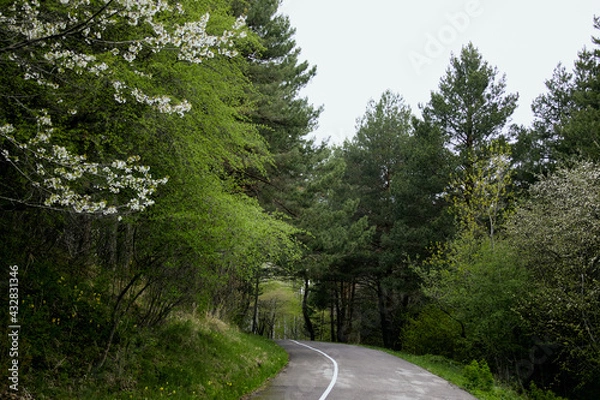 Fototapeta Пейзаж