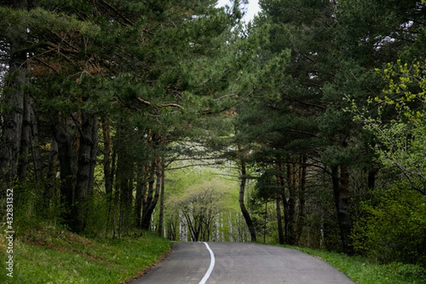 Fototapeta Пейзаж