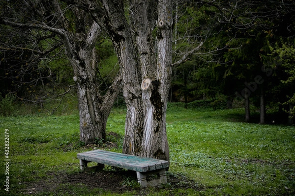 Fototapeta Пейзаж