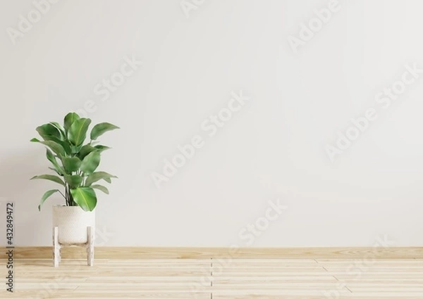 Obraz Empty room white walls with beautiful plants sideways on the floor.3d rendering.