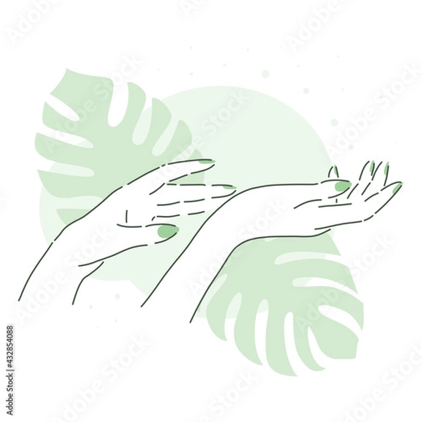 Fototapeta Beautiful woman hands with tropical leaves on background. Soft skin, manicure. Aesthetic line art.